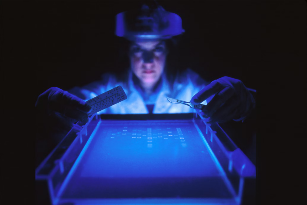 A woman holding a scalpel and a measuring device over a blue-lit tray.